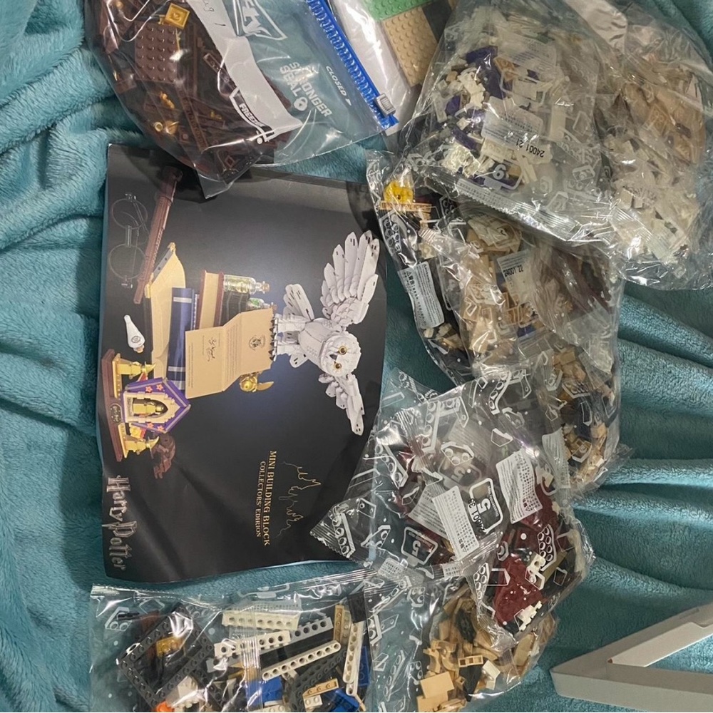 LEGO Harry Potter Hedwig Set with White and Brown Pieces